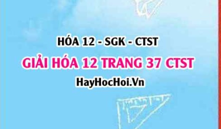 Giải Hóa 12 trang 37 Chân trời sáng tạo SGK